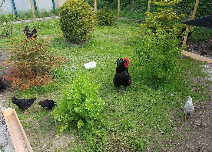 아파트 Cafe Hausnordlicht - 1